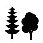 trees biomass